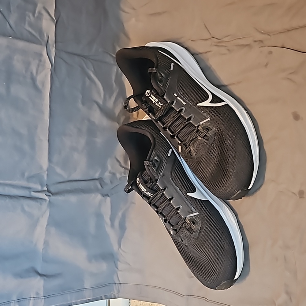Nike Pegasus 40